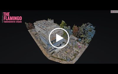 The Flamingo