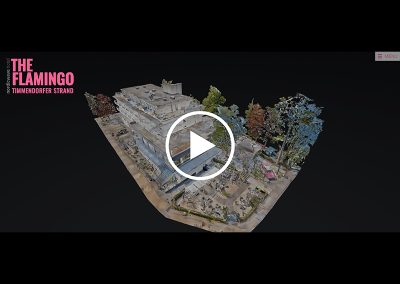 The Flamingo